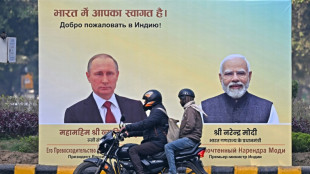 Defensa y comercio en el men&uacute; del viaje de Putin a India