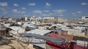 'Paesi del Golfo pronti a attuare il piano Trump senza ok Hamas'