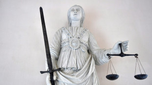 Haftstrafen in Hamburg wegen Lieferung von Elektronik für Drohnen an Russland