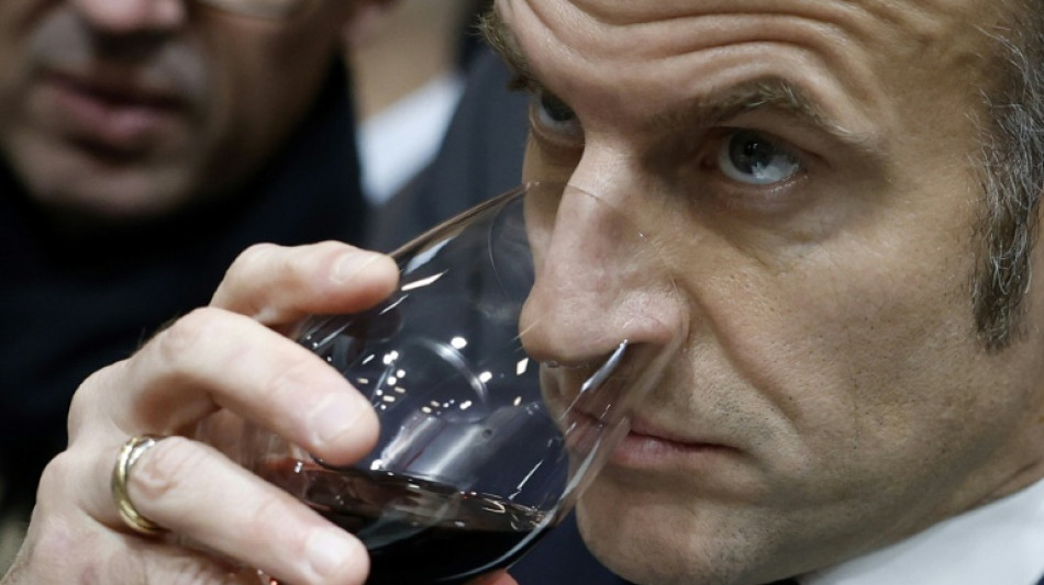 Macron apoya el arranque de vi&ntilde;edos ante la crisis del sector vin&iacute;cola en Francia