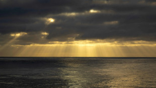 &iquest;Qu&eacute; es el tratado para proteger la altamar? 