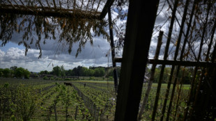 EU-Einigung auf Unterst&uuml;tzung f&uuml;r Winzer und Kennzeichnung f&uuml;r alkoholfreie Weine