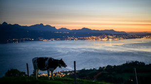 Swiss queasy over chlorinated chicken fears in US tariff deal