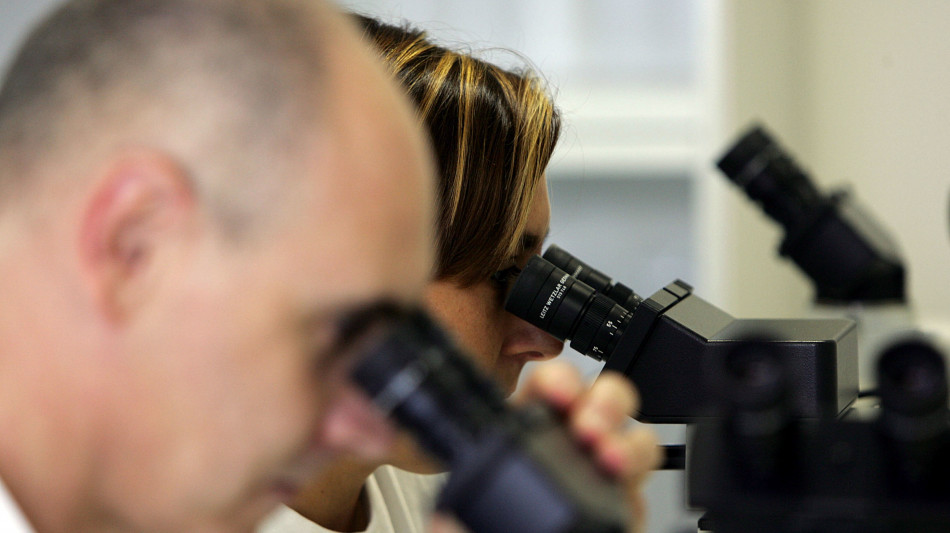 Studio apre nuova via per contrasto a malattie autoimmuni over65