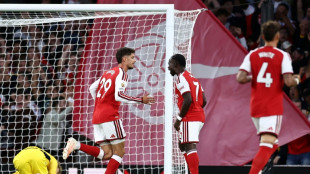 Arteta hails Arsenal's desire after perfect start to title defence