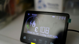 Haushalte könnten durch flexible Nutzung große Mengen Strom "verschieben"