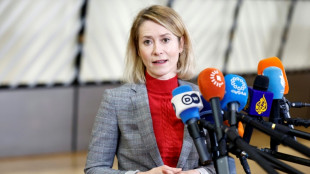 EU designates Iran Guards as 'terrorist organisation'