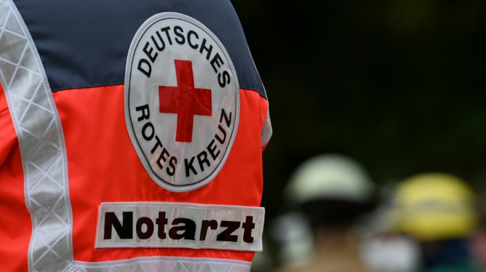 48-J&auml;hriger bei F&auml;llarbeiten in Baden-W&uuml;rttemberg von umst&uuml;rzendem Baum erschlagen