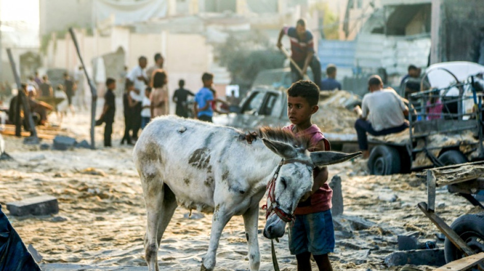 Hilfsorganisationen und Opposition kritisieren deutsche Israel-Politik scharf