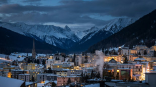 Greenpeace prangert Privatjet-Fl&uuml;ge nach Davos an - und fordert Verbot