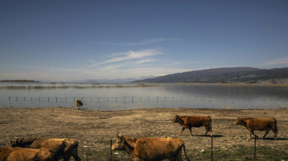 Grèce: vaste coup de filet en lien avec une fraude "systématique" aux aides agricoles européennes