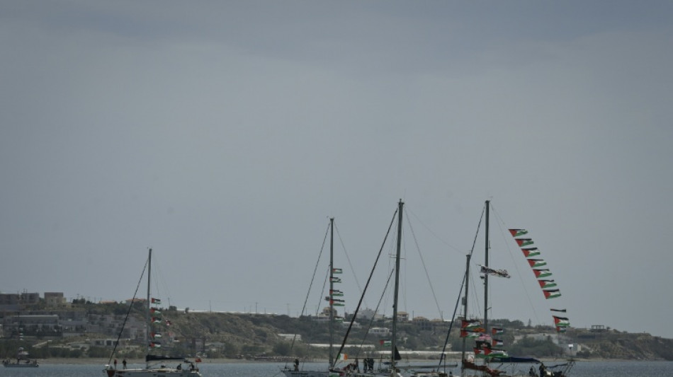 Activistas brasile&ntilde;o y palestino-espa&ntilde;ol de flotilla comparecen ante tribunal israel&iacute;
