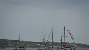 Activistas brasile&ntilde;o y palestino-espa&ntilde;ol de flotilla comparecen ante tribunal israel&iacute;