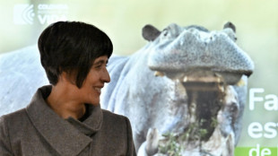 Colombia matar&aacute; a algunos hipop&oacute;tamos de Pablo Escobar