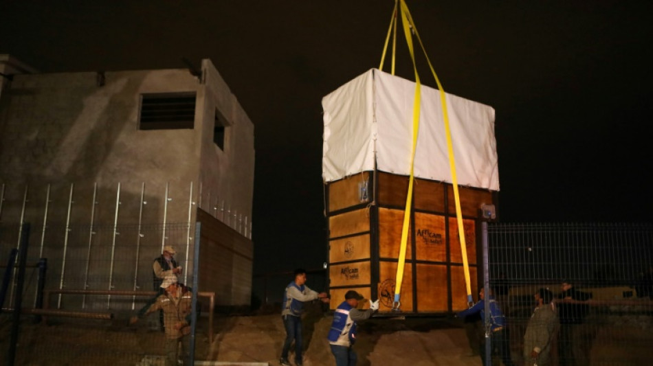 Trasladan a una jirafa en M&eacute;xico tras la presi&oacute;n de grupos ecologistas