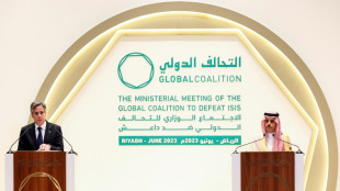 EEUU y Arabia Saudita piden la repatriaci&oacute;n de yihadistas occidentales en Siria e Irak