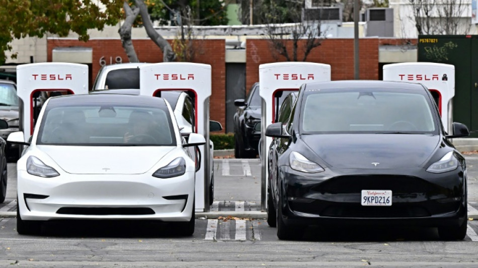 Tesla troubles: Speed bump or early signs of impending crash?
