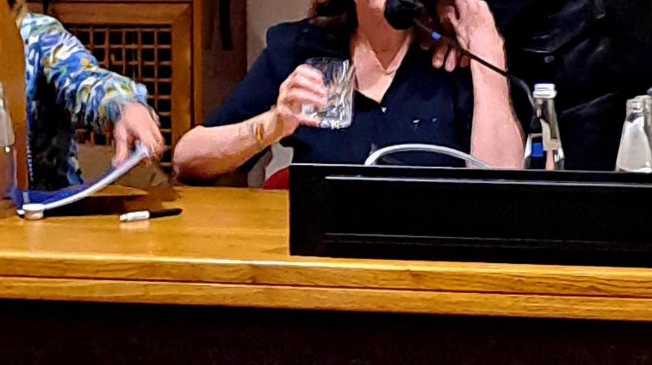 Susan Sarandon, 'c'è clima di intimidazione, non si può mollare'