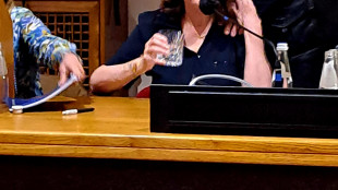 Susan Sarandon, 'c'è clima di intimidazione, non si può mollare'