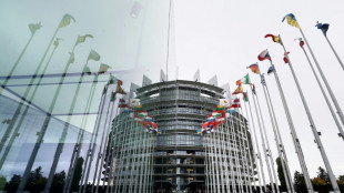 Jailed Belarus, Georgia journalists win EU's top rights prize