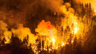 Inc&ecirc;ndios na Patag&ocirc;nia argentina reavivam narrativas antissemitas