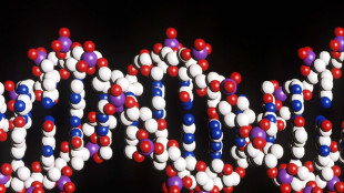 Ampliato l'alfabeto genetico, passa da 4 a 8 lettere