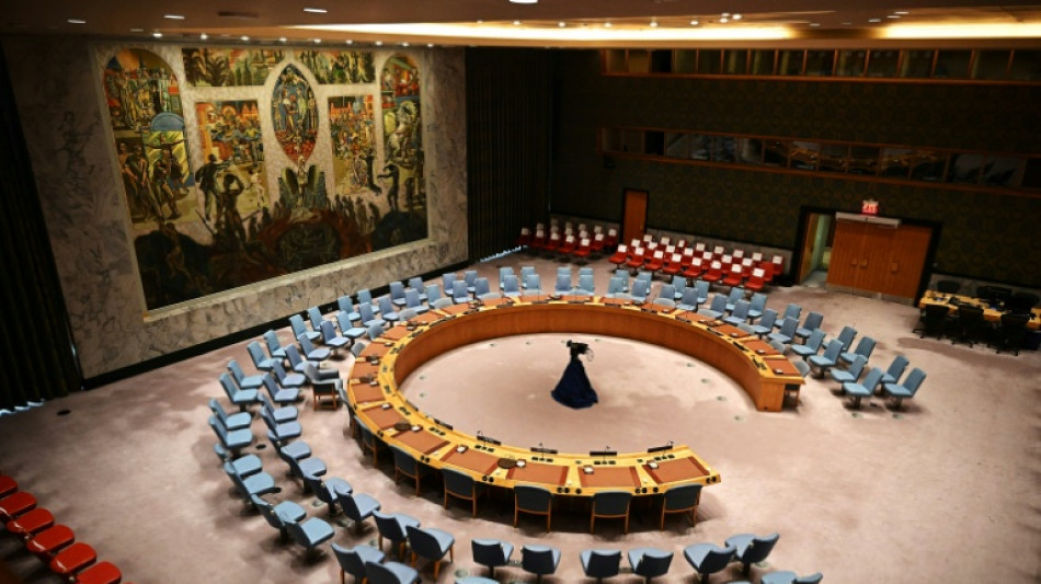 Haïti: le Conseil de sécurité de l'ONU approuve une nouvelle force antigang plus robuste