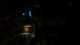 Largas filas en el segundo d&iacute;a de la capilla ardiente de Benedicto XVI