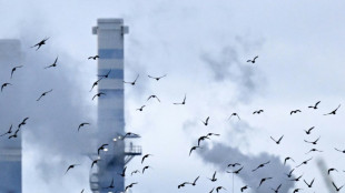 Bleak year for German engineering firms amid US, China turmoil