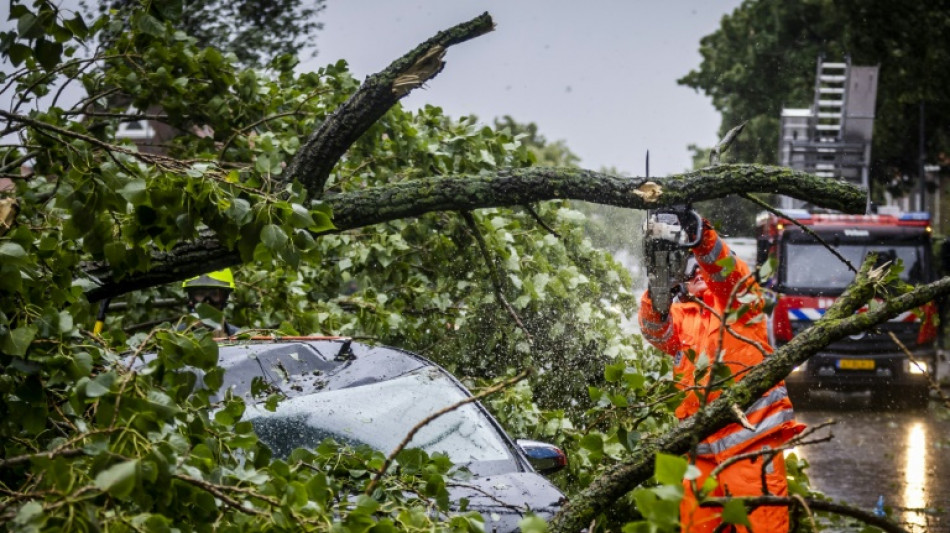 'Strongest summer storm' batters Netherlands
