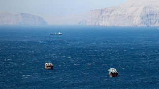 Media, 'Iran schiera le forze speciali della Marina sulla costa sud'