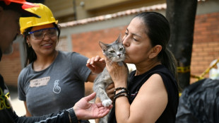 "Un r&ecirc;ve qui se r&eacute;alise": des sinistr&eacute;s retrouvent leur animal de compagnie apr&egrave;s le s&eacute;isme en Colombie