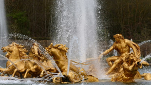 El Palacio de Versalles ultima su puesta a punto para la equitaci&oacute;n ol&iacute;mpica