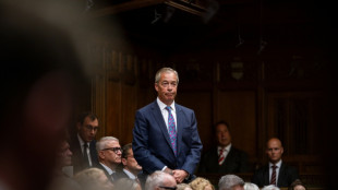 L&iacute;der de partido anti-imigra&ccedil;&atilde;o brit&acirc;nico renuncia para for&ccedil;ar elei&ccedil;&atilde;o parcial