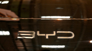 Bahn kauft mehr als 3000 neue Busse - auch bei chinesischem Hersteller