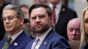 Vance a Meloni, lavoro eccezionale per le Olimpiadi