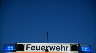 Ruderboote kentern auf dem Rhein - Zehn Menschen fallen ins kalte Wasser