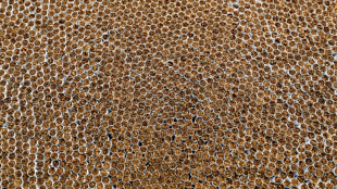 Zoll beschlagnahmt weit über fünf Millionen unversteuerte Zigaretten in Paketen