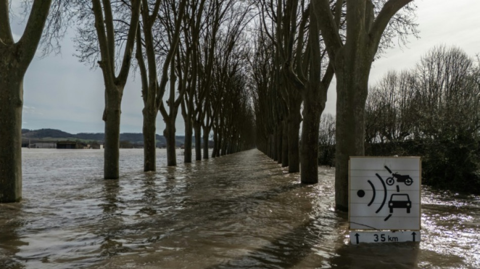 Crues: la Garonne toujours au plus haut, Bordeaux anticipe ses d&eacute;bordements