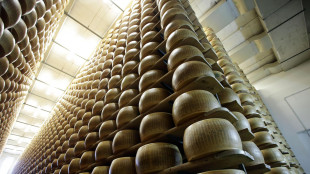 Caldo, la produzione di latte per il Parmigiano gi&ugrave; del 10%
