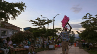 El Consejo de Seguridad de la ONU restringe el mandato de la misión de paz en Colombia