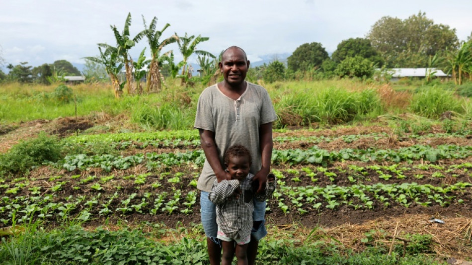 Aux Îles Salomon, les bombes de la Seconde Guerre mondiale continuent de tuer