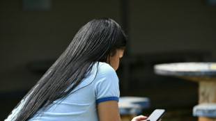 Brasil refuerza la protecci&oacute;n de menores en su acceso a internet