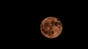 Firmati contratti per dare all'Europa accesso autonomo alla Luna