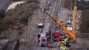 El Gobierno espa&ntilde;ol acusa a la oposici&oacute;n de alimentar "el caos" tras la tragedia ferroviaria
