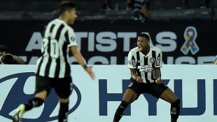 Botafogo vence LDU (2-1) e &eacute; 2&ordm; do Grupo D da Libertadores 