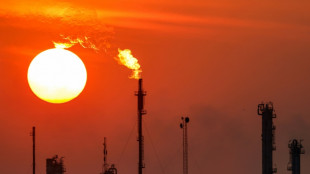 Pétrole: Ryad et ses alliés persistent et signent en dopant leur production