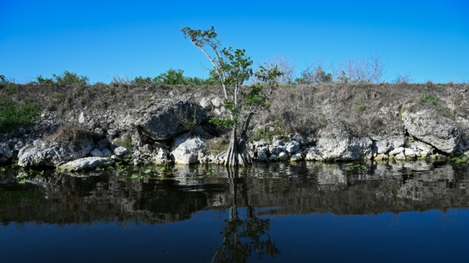 US-Nationalparks: Ab Januar deutlich h&ouml;herer Eintritt f&uuml;r ausl&auml;ndische Touristen