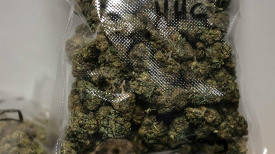 Desmantelan red de tr&aacute;fico casi "industrial" de cannabis entre Espa&ntilde;a y Francia