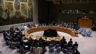 Consejo de Seguridad de la ONU adopta resoluci&oacute;n sobre fuerza internacional en Gaza